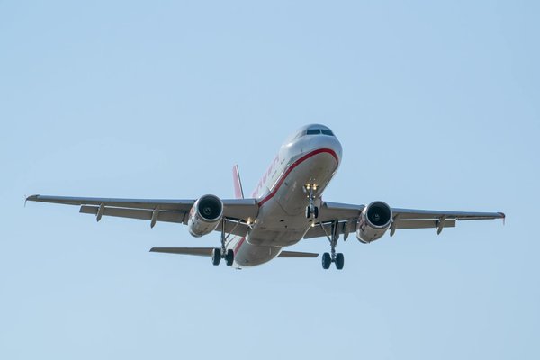 Comment organiser une visite des parcs nationaux du Sri Lanka pour observer les léopards?